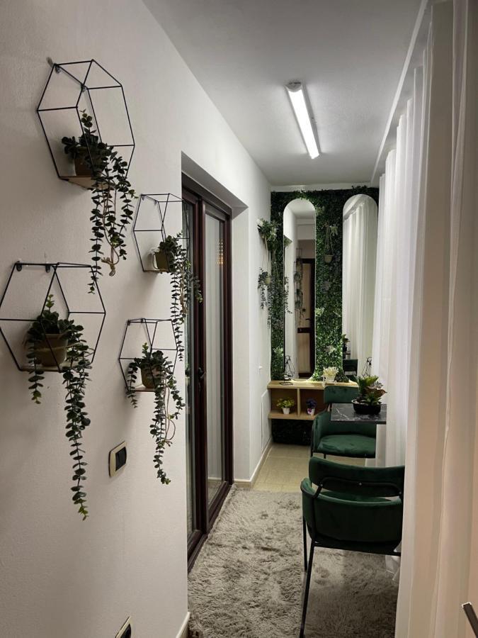 טיראנה Superior 2Br Apartment מראה חיצוני תמונה